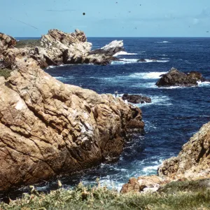 coastal California, Montana de Oro