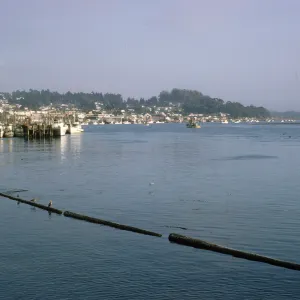harbor and boats, Morro Bay