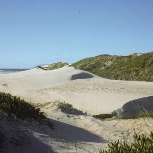 dunes at Pismo Beach
