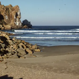Tip of Morro Rock