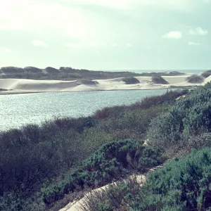 Oso Flaco Lake