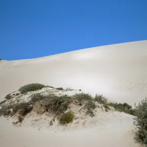 Oso Flaco sand dunes