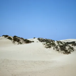 sand dunes, Oso Flaco