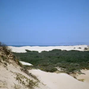 coastal sand dunes, Oso Flaco