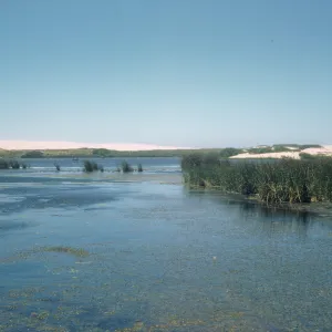 Oso Flaco Lake