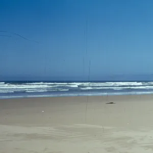 Pacific Ocean beach at Oso Flaco