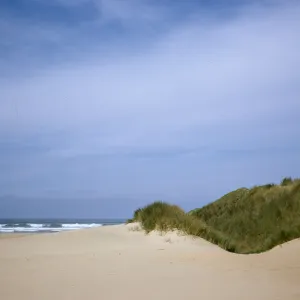Oso Flaco dunes at the ocean