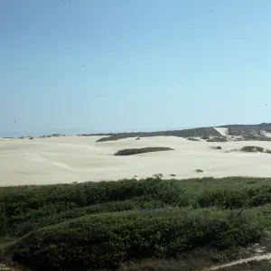 Oso Flaco dunes