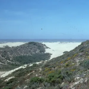 dunes at Oso Flaco