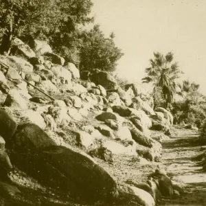 renovated Campbell Trail 1961