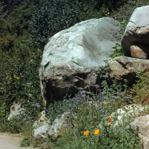 Campbell Trail boulder