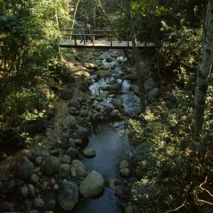 visitors walk across the Campbell Bridge, Mission Creek flowing below, 1995?