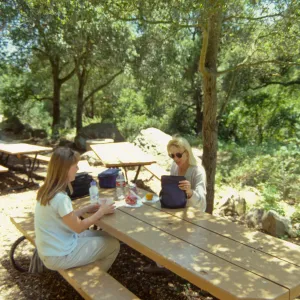 new picnic area, SBBG