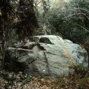 boulder in Mission Canyon, SBBG