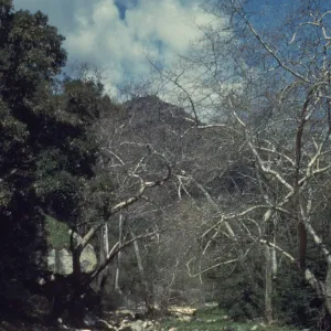 Mission Creek above Mission Dam