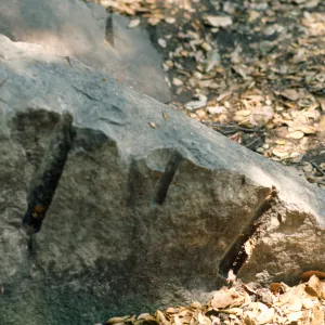 chisel marks on boulder in Mission Canyon, SBBG