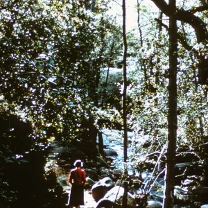 walking the Canyon Trail along Mission Creek, SBBG