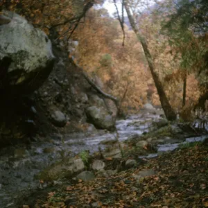 Mission Creek with fall foliage