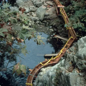 construction of the redwood flume below the Old Mission Dam