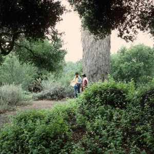 SBBG Desert Section