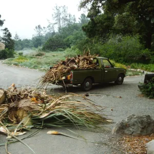 construction of the Desert Wash, SBBG