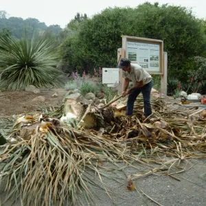 construction of the Desert Wash, SBBG