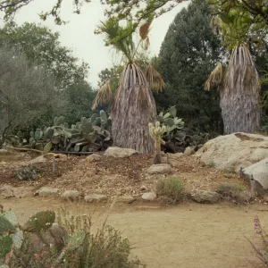 the Desert Mound, in progress
