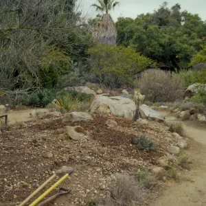 the Desert Mound, in progress