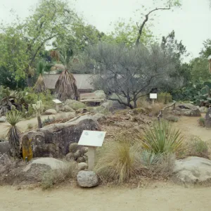 the Desert Mound, in progress