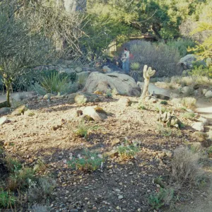 the Desert Mound, in progress