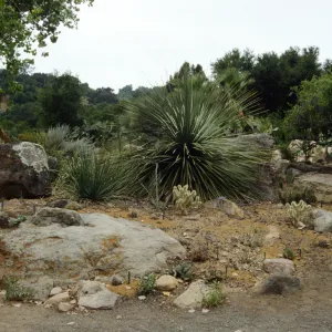 Desert Section in 1993