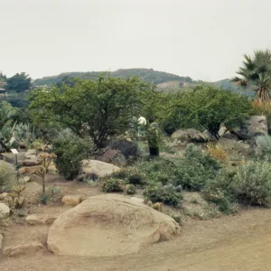 Desert Section in 1959