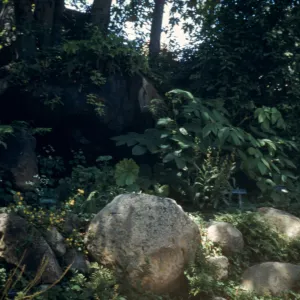 Dripping Rock, Arroyo Section, 1953