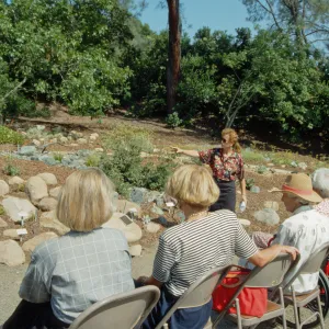 Dudleya Display Dedication