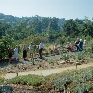 Dudleya Display Dedication