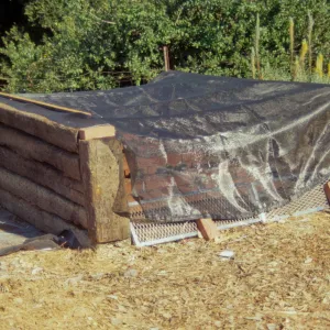 Dudleya Test Plot, August 1998
