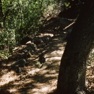 Easton Trail