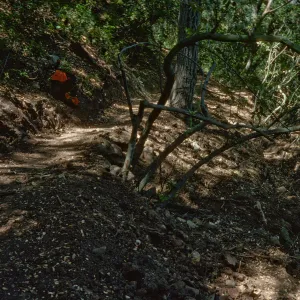Easton Trail