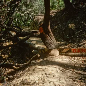 Easton Trail
