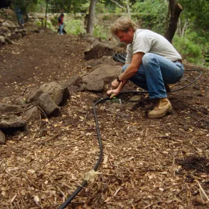 Preparing Ethnobotanical Display Area