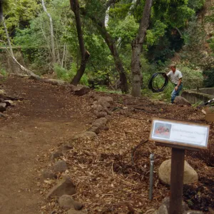 Preparing Ethnobotanical Display Area