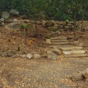 Ethnobotanical Display Area