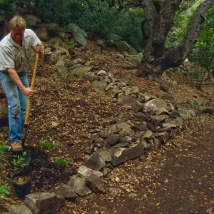 Preparing Ethnobotanical Display Area