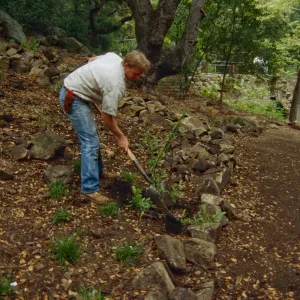 Preparing Ethnobotanical Display Area