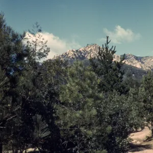 Old Foothill Section looking north to mountain