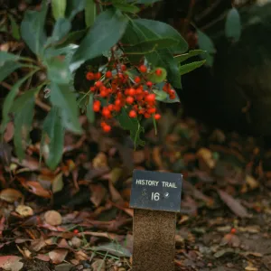 History Trail 16