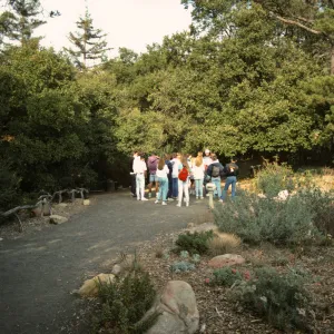 SBBG Garden tour
