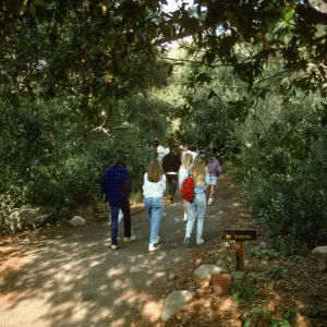 SBBG Garden tour