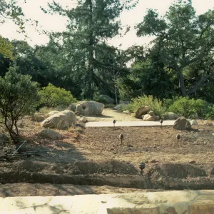 SBBG Home Demonstration Garden construction