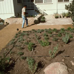 SBBG Home Demonstration Garden construction